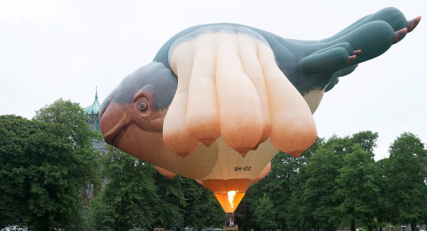 There's a giant, benippled flying Sky Whale in Galway this week