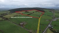 74a Meath holding guiding €12k/acre for auction