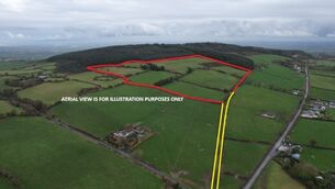 <p>A picture of the 31-acre farm sold at auction, Graigacurragh, Kilmallock. </p>