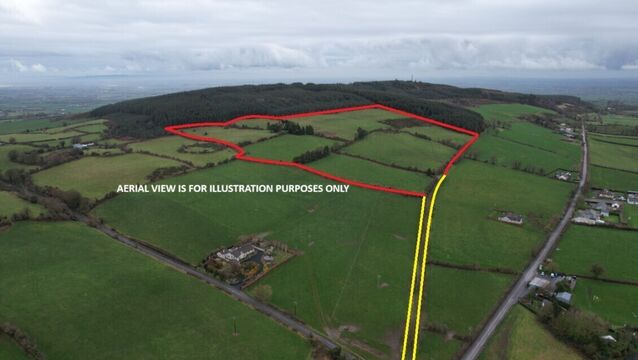 <p>A picture of the 31-acre farm sold at auction, Graigacurragh, Kilmallock. </p>