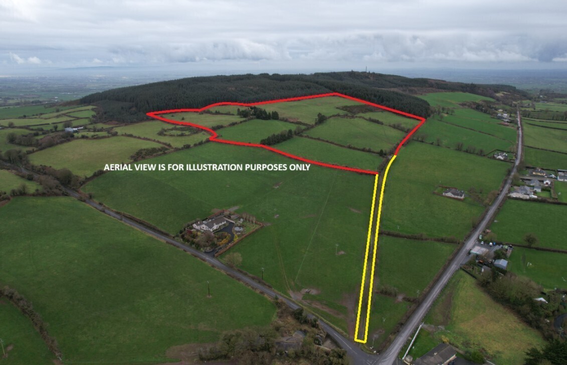 Trio of March auctions sees 300a of Limerick land sold