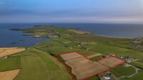60-acre East Cork holding a tempting prize at €8.3k/acre 