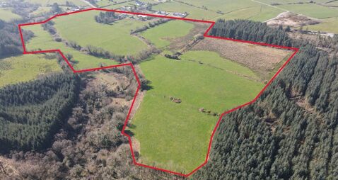 Kerry farm near airport seeks €13,600/acre