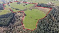 60-acre East Cork holding a tempting prize at €8.3k/acre 
