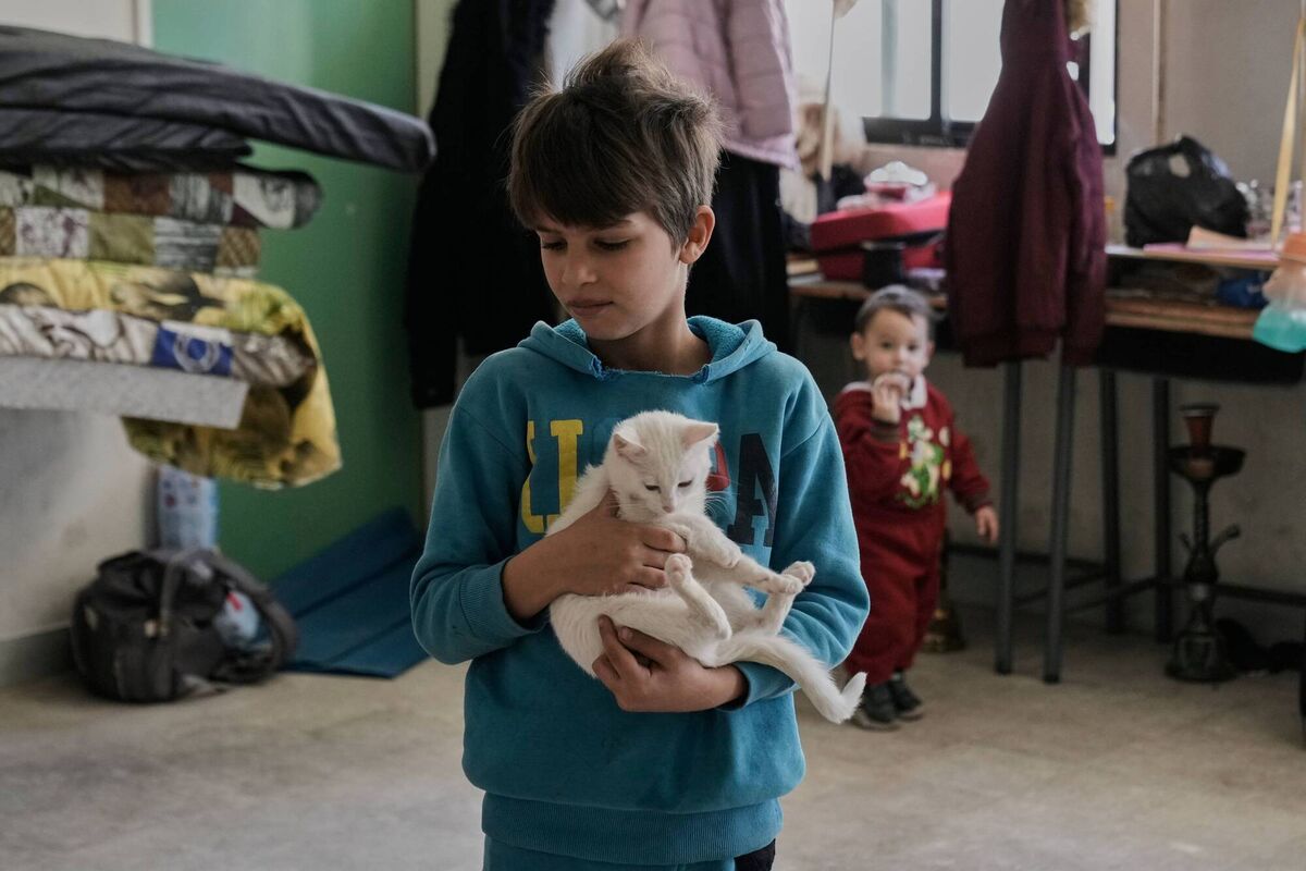 A displaced boy who fled Israeli airstrikes with his family in Beirut holds his cat at the Bir Hassan Technical Institute which has been turned into a shelter. Photo: AP/Bilal Hussein A displaced boy who fled Israeli airstrikes with his family in Beirut holds his cat at the Bir Hassan Technical Institute which has been turned into a shelter. Photo: AP/Bilal Hussein