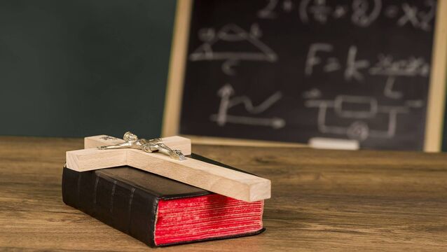 <p>The majority of primary schools remain under Catholic patronage, despite moves in recent years to increase the number of non-denominational schools. File picture</p>