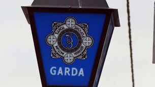<p>Anyone with information has been asked to contact Fermoy Garda Station on 025 82100, the Garda Confidential Line on 1800 666 111, or any Garda Station. File Picture</p>