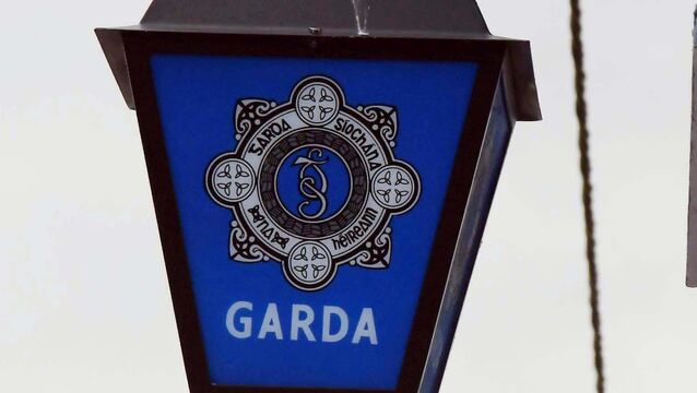 <p>Anyone with information has been asked to contact Fermoy Garda Station on 025 82100, the Garda Confidential Line on 1800 666 111, or any Garda Station. File Picture</p>