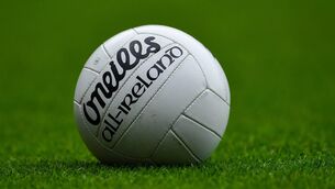 <p>DEISE STARS: Dara Gough starred with 1-9 on the night, while Rian Hallahan found the net twice</p>