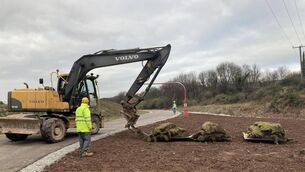 <p>The plans follow on from a <a class="contextmenu inlinelink" href="https://www.irishexaminer.com/news/munster/arid-41435410.html" idref="X0.8860378971328176">€12m project to unlock land </a>at Water-Rock, which was completed in 2024. </p>