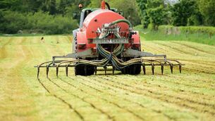 <p>One senator said the challenge risks doing enormous damage to rural Ireland, farm families, the agrifood sector and the 7,000 farmers who are in derogation. File picture</p>