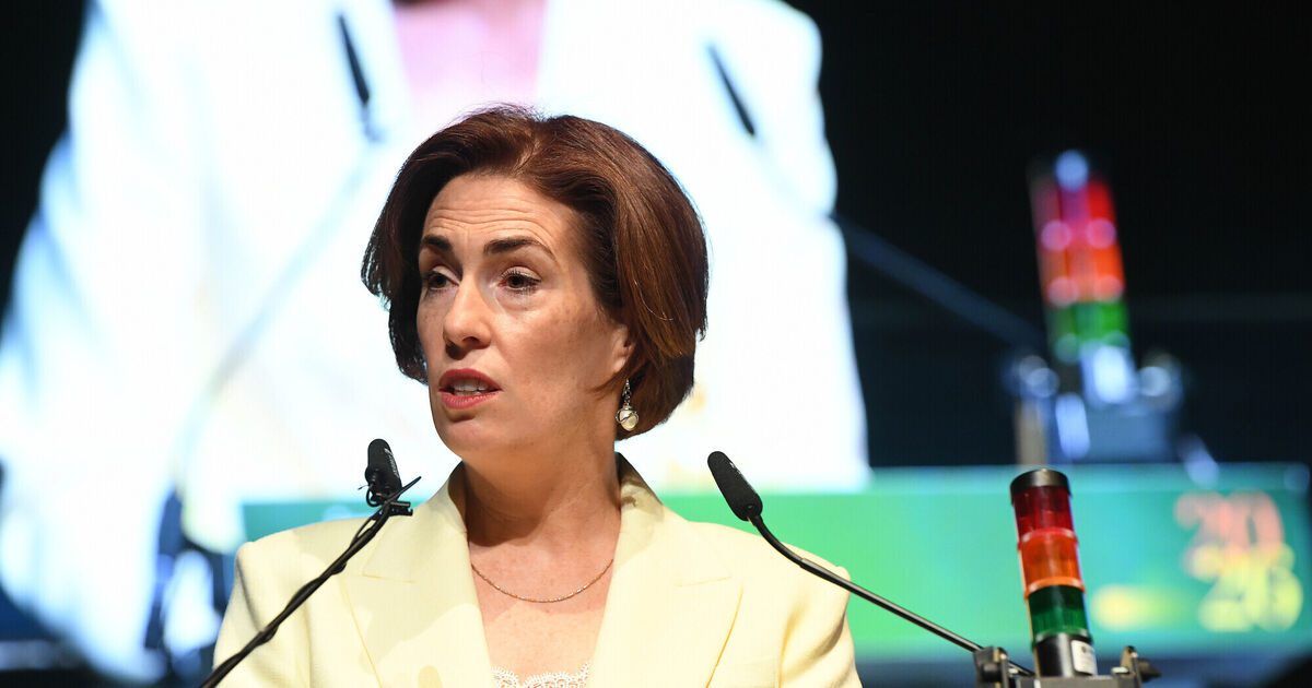 Minister rejects claims Government late in tackling AI in schools