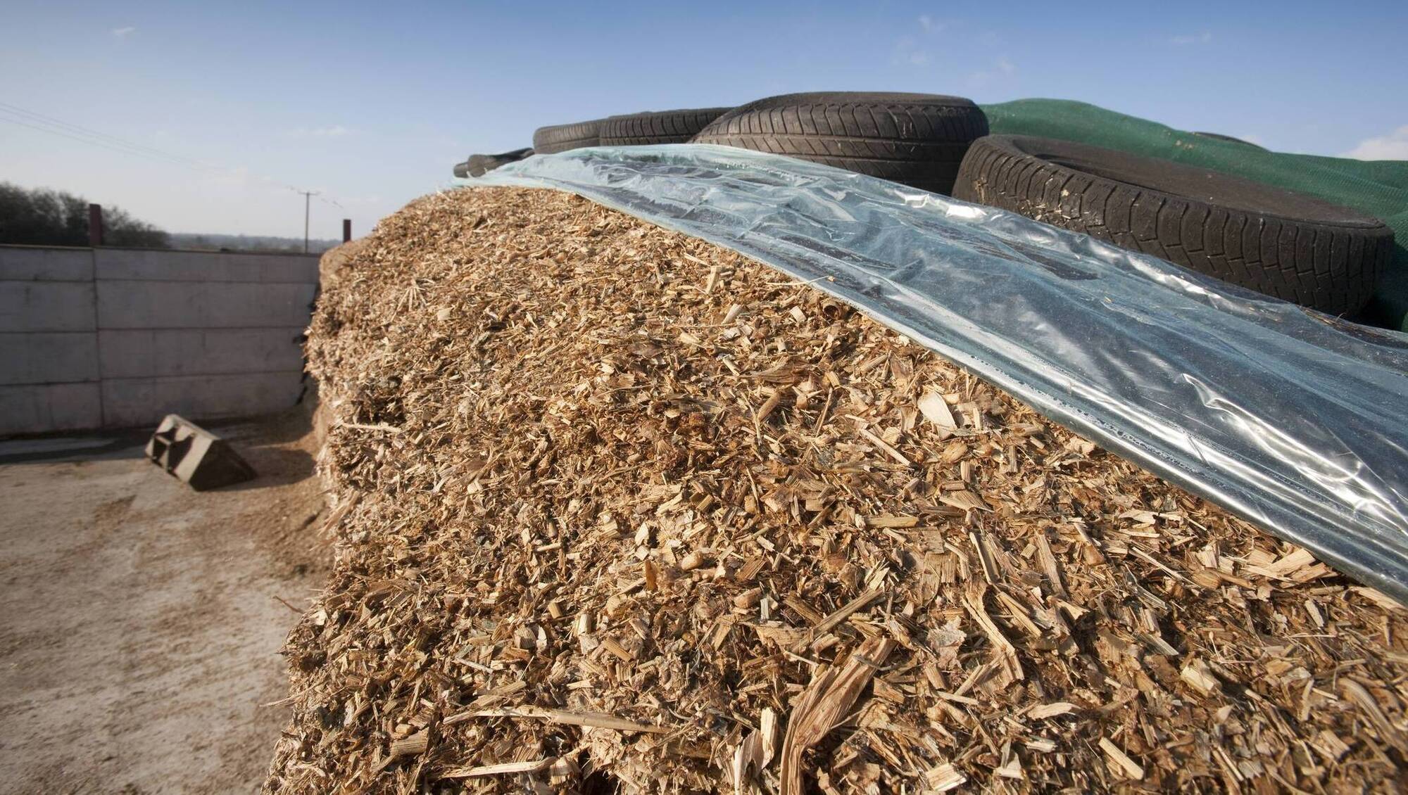 Brian Reidy: Alternatives to grass silage make a lot of sense