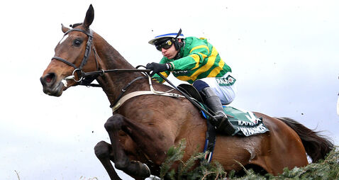 I Am Maximus file photo