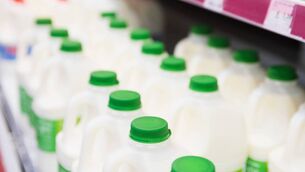 <p>Total milk sold for human consumption totalled 39.1 million litres in February 2026, an increase from 36.2 million litres sold in February 2025. File picture</p> <p>Total milk sold for human consumption totalled 39.1 million litres in February 2026, an increase from 36.2 million litres sold in February 2025. File picture</p>