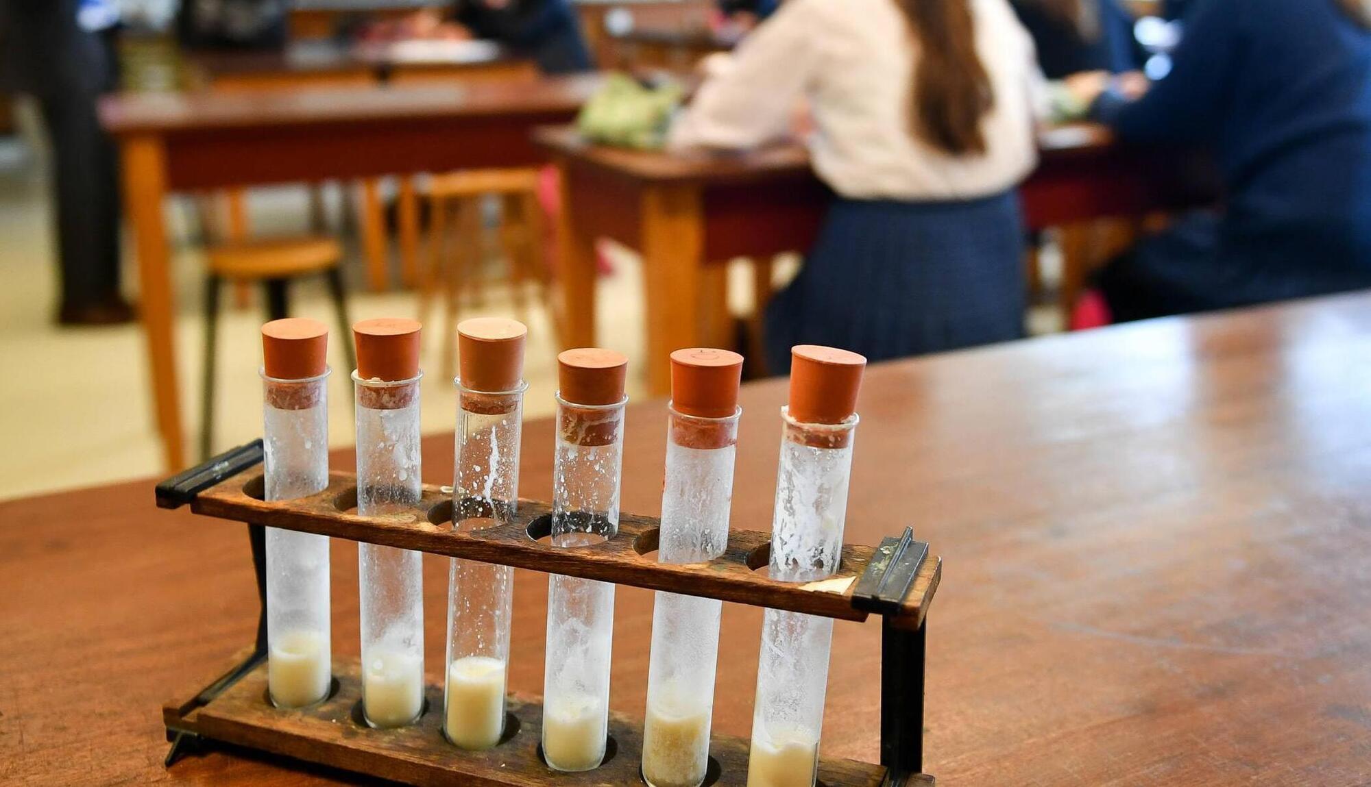 ASTI calls for pause to Leaving Cert laboratory projects on health and safety grounds