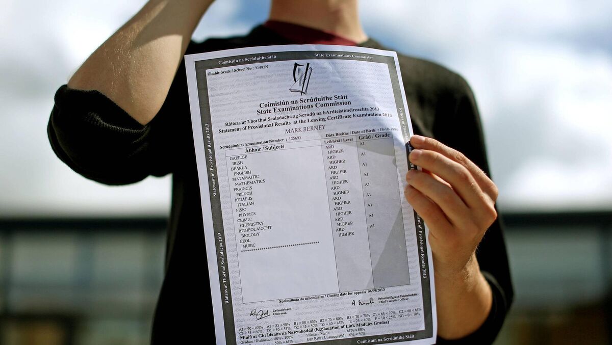 Additional assessment components account for 40% of each Leaving Certificate student's final grade in the subjects that have been revamped to date â chemistry, physics, biology, and business.
Additional assessment components account for 40% of each Leaving Certificate student's final grade in the subjects that have been revamped to date â chemistry, physics, biology, and business.