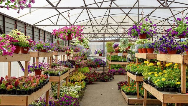 <p>Independent garden centres are local businesses, run by people who know their stuff. 	File picture</p>
