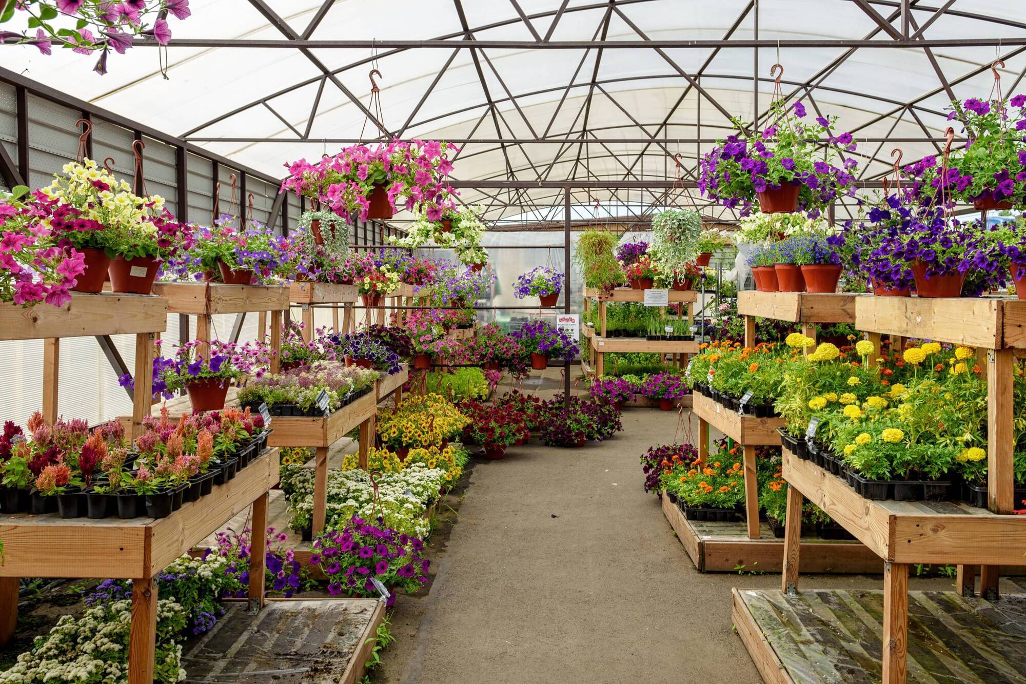 Peter Dowdall: Love your garden centre