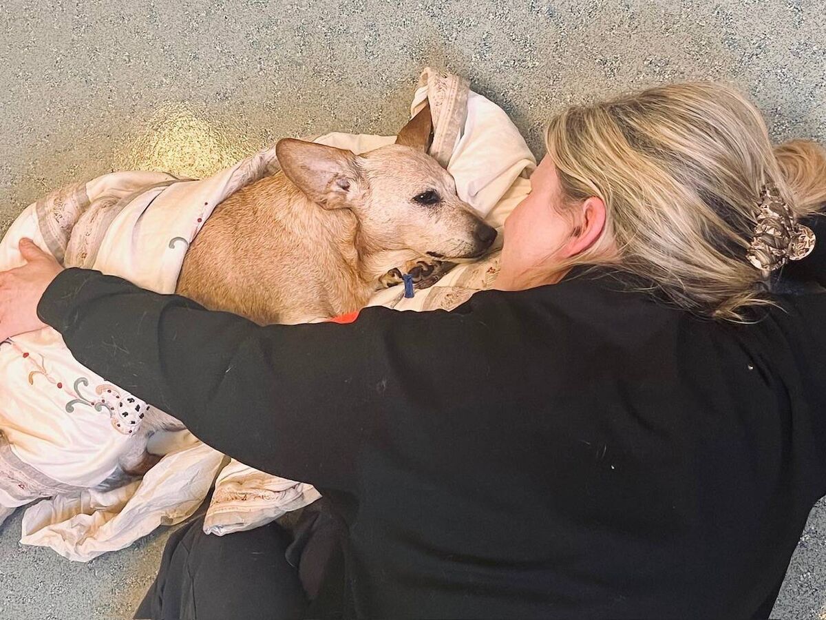 Mitzi and Alison O'Reilly. 'For seven years, she wove herself so completely into my life that I didn’t see where she ended and I began.'