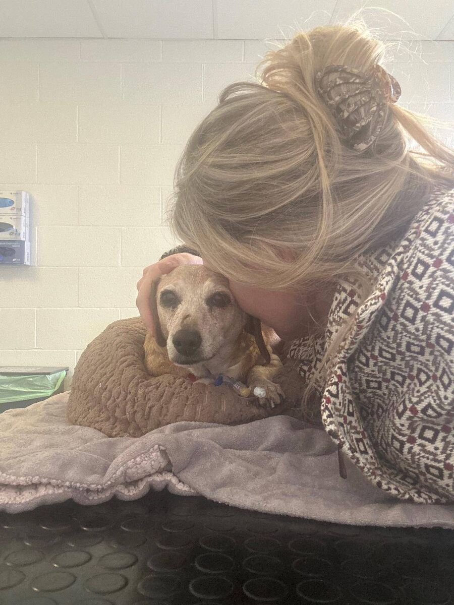 Mitzi and Alison O'Reilly at the vet hospital where she passed away.