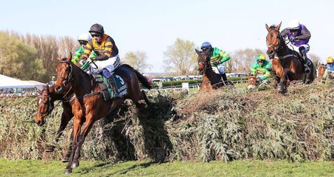 Aintree Grand National 2026: Ruby Walsh's horse-by-horse guide