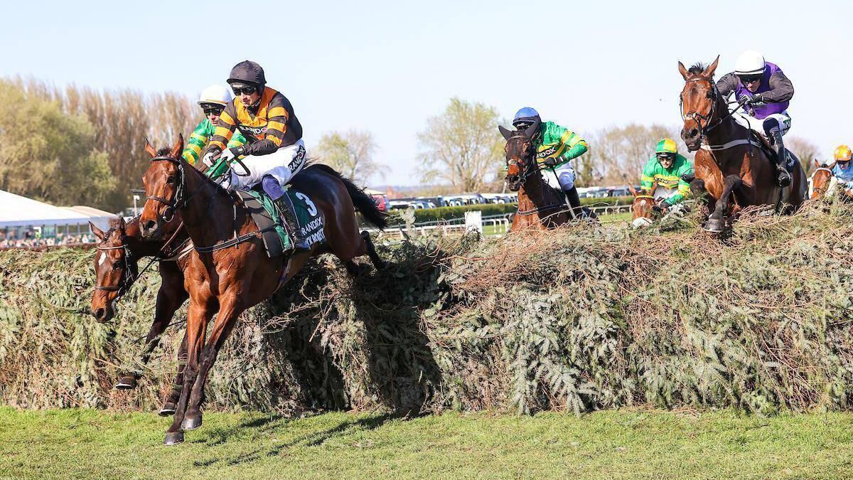 Aintree Grand National 2026: Ruby Walsh's horse-by-horse guide