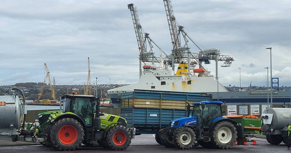 &ldquo;Don&rsquo;t bite the hand that feeds you&rdquo;: Protests continue with Port of Cork blockade