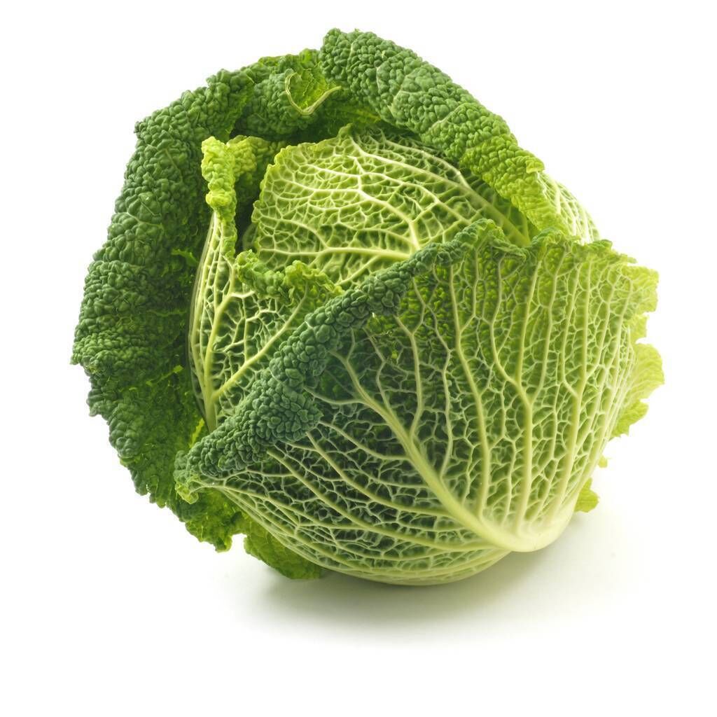 A savoy cabbage. Picture: iStock