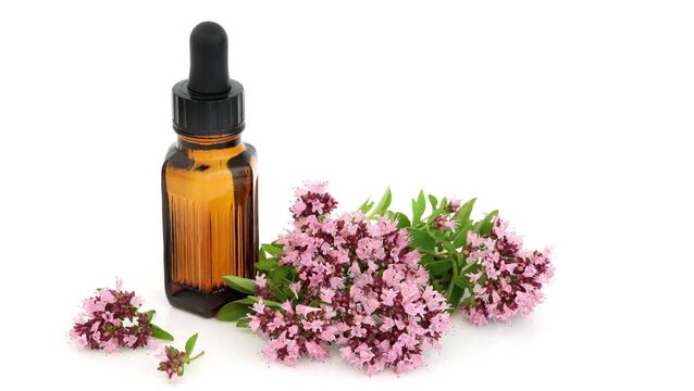 <p>Oregano oil is excellent both as a topical and internal remedy for fungal nails</p>