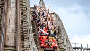 <p>Planning documentation lodged with the roller coaster proposal had warned if the roller coaster did not proceed 'the longer-term viability of the park would be brought into question'.</p>