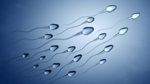 <p>Improvements in concentration and motility take time to show. New sperm typically need 72 days to form, Picture: iStock</p>