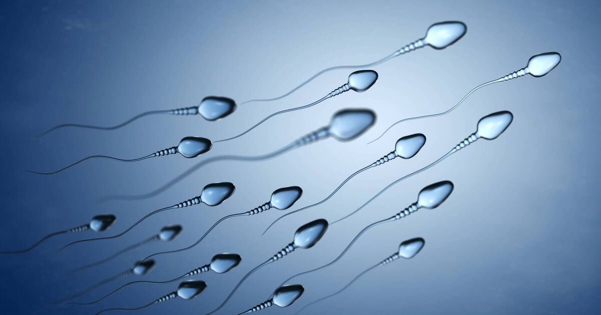 What men should know about their sperm — including how to strengthen it