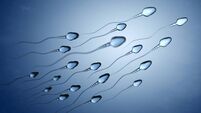 Illustration of sperm cells