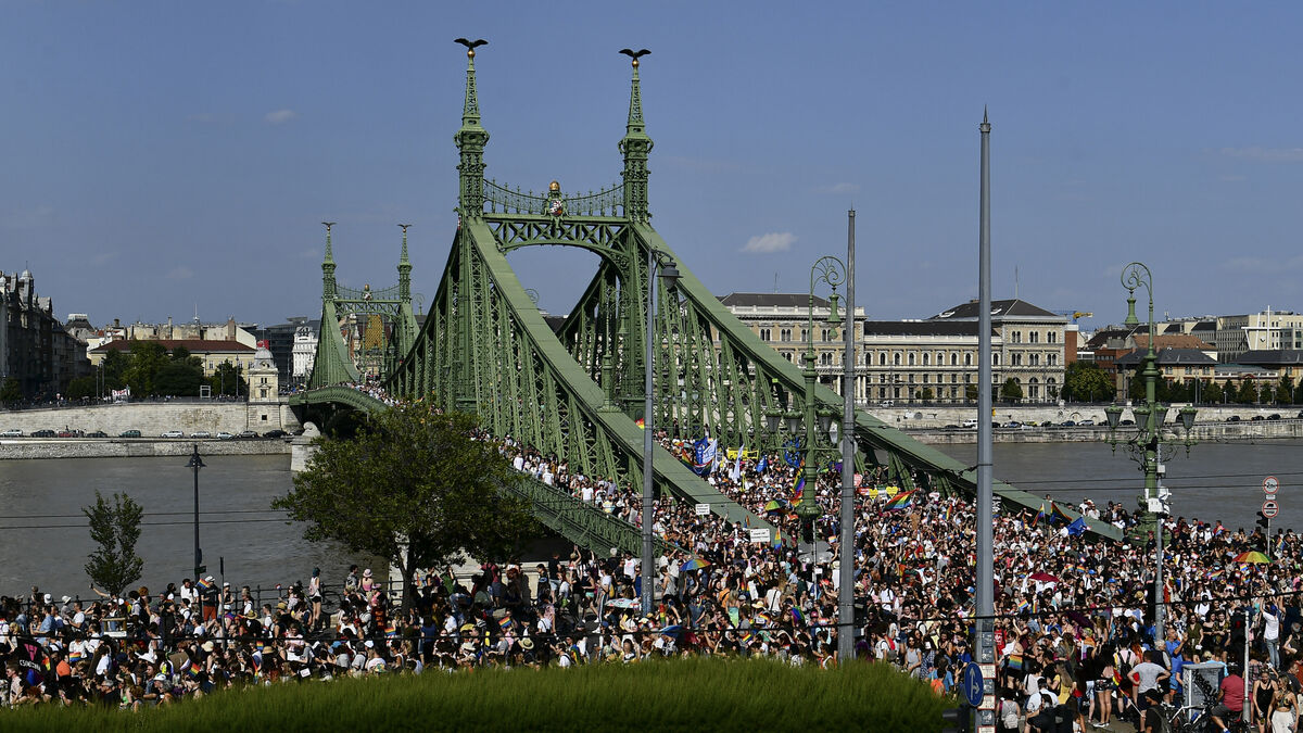 People march across the Szabadsag, or Freedom Bridge over the River Danube in downtown Budapest during a gay pride parade in Budapest, Hungary, in 2021, amid rising anger over policies of Hungary's right-wing government. File Picture: Anna Szilagyi/AP People march across the Szabadsag, or Freedom Bridge over the River Danube in downtown Budapest during a gay pride parade in Budapest, Hungary, in 2021, amid rising anger over policies of Hungary's right-wing government. File Picture: Anna Szilagyi/AP