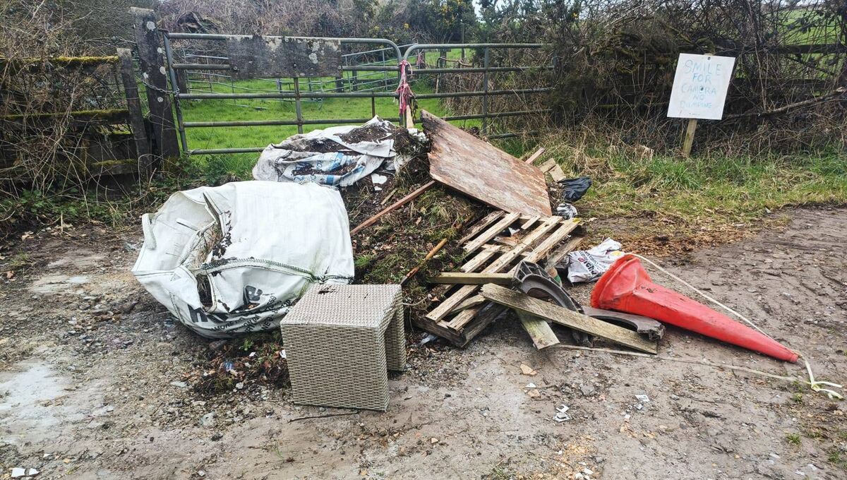 County councillors asked the Department of Education to put ‘civic responsibilities’ associated with illegal dumping in the school curriculum. County councillors asked the Department of Education to put ‘civic responsibilities’ associated with illegal dumping in the school curriculum.
