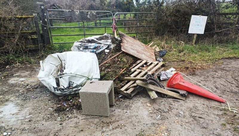 County councillors asked the Department of Education to put ‘civic responsibilities’ associated with illegal dumping in the school curriculum. County councillors asked the Department of Education to put ‘civic responsibilities’ associated with illegal dumping in the school curriculum.