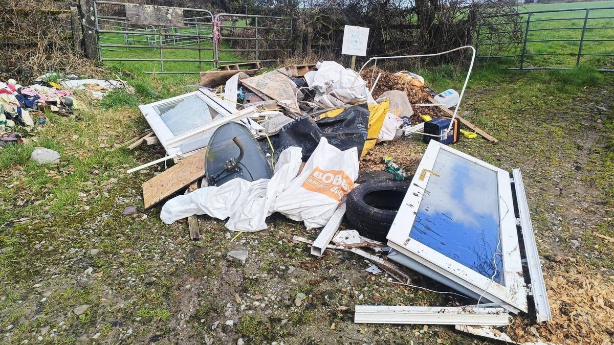 The scourge of fly-tipping: How illegal dumping is defacing Cork’s countryside
