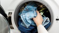 Person putting jeans into the drum of a washing machine, front view. Washing dirty jeans in the washer