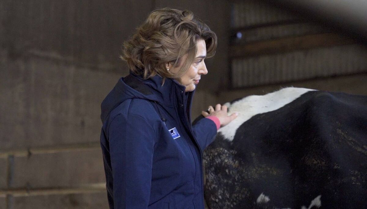 Maura Langan of Norbrook advises farmers that cows amongst the last to calf are at higher risk of ketosis.