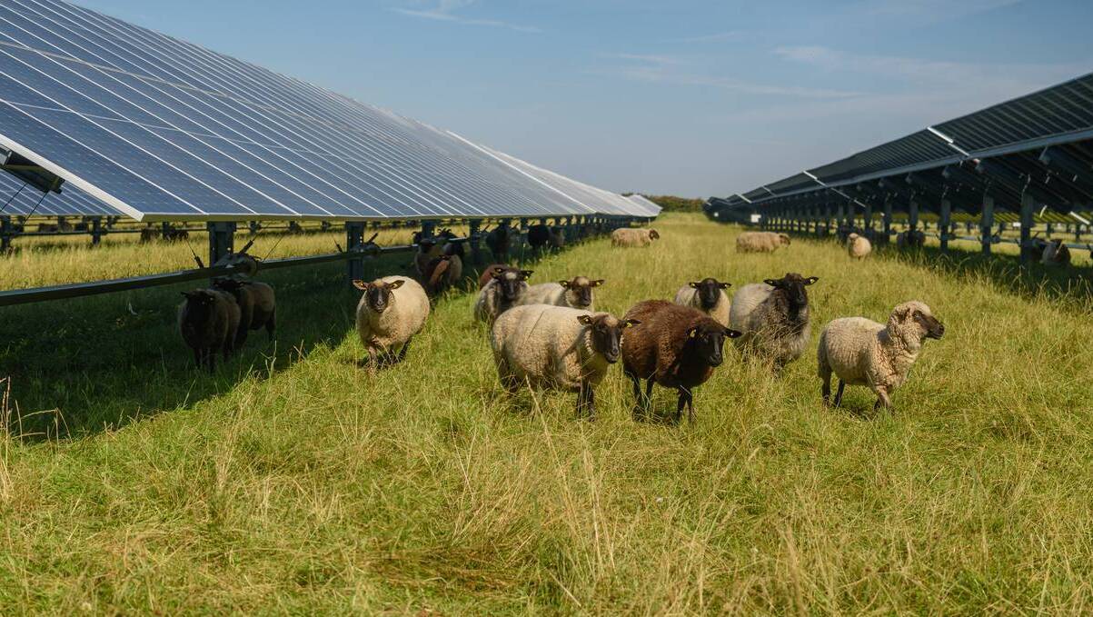 Agrivoltaics, where farming and clean energy meet