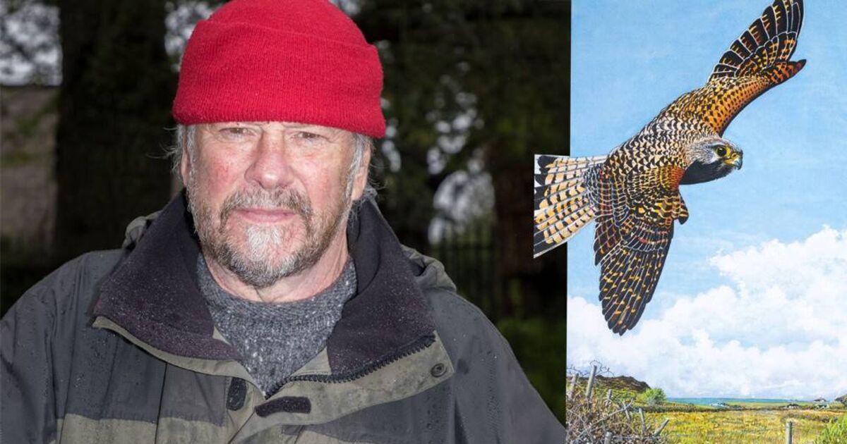 Cork artist Colm Murphy: Nature has the smarts, not AI