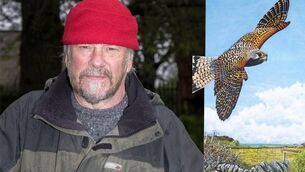 <p>Colm Murphy and his painting Pocaire Gaoithe.</p>