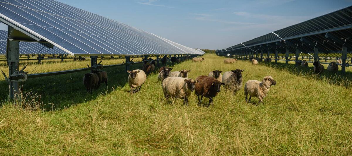 Wind and solar, supported by battery arrays and e-fuels, are now the cheapest, cleanest sources of energy in history. Picture: iStock Wind and solar, supported by battery arrays and e-fuels, are now the cheapest, cleanest sources of energy in history. Picture: iStock