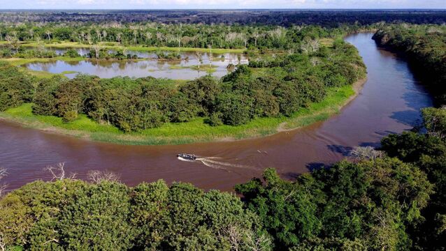 <p>The Amazon is home to one in ten of all species on Earth</p>