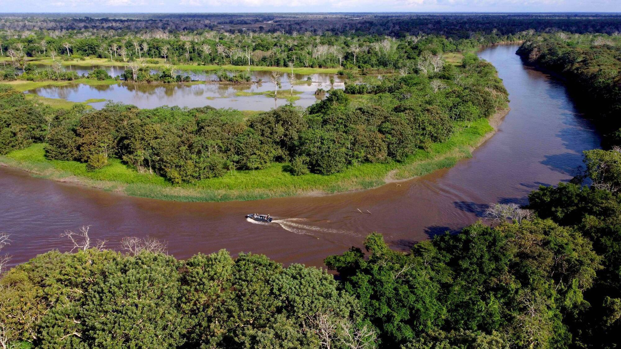 I sailed down the Amazon river and witnessed the magnificence of its wildlife 