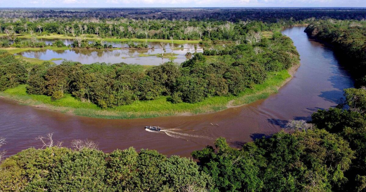 I sailed down the Amazon river and witnessed the magnificence of its wildlife 