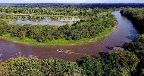 I sailed down the Amazon river and witnessed the magnificence of its wildlife 