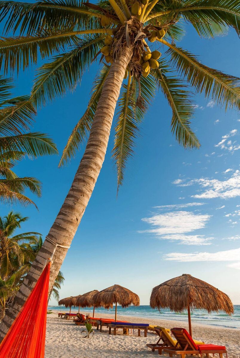 TUI has two dates on offer, June 20, flying from Dublin to Mexico, staying at the three-star Coco Rio