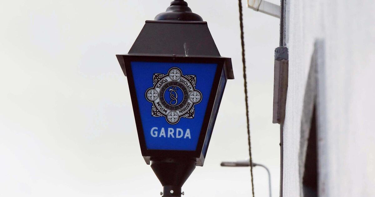 Irish Examiner view: Absence of policing in domestic abuse crisis